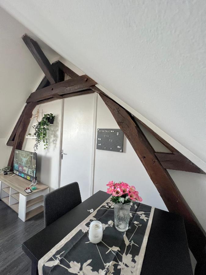 Bel Appartement Lumineux 35M2, Bord De Loire Сен-Жак-Ле-Блан Экстерьер фото