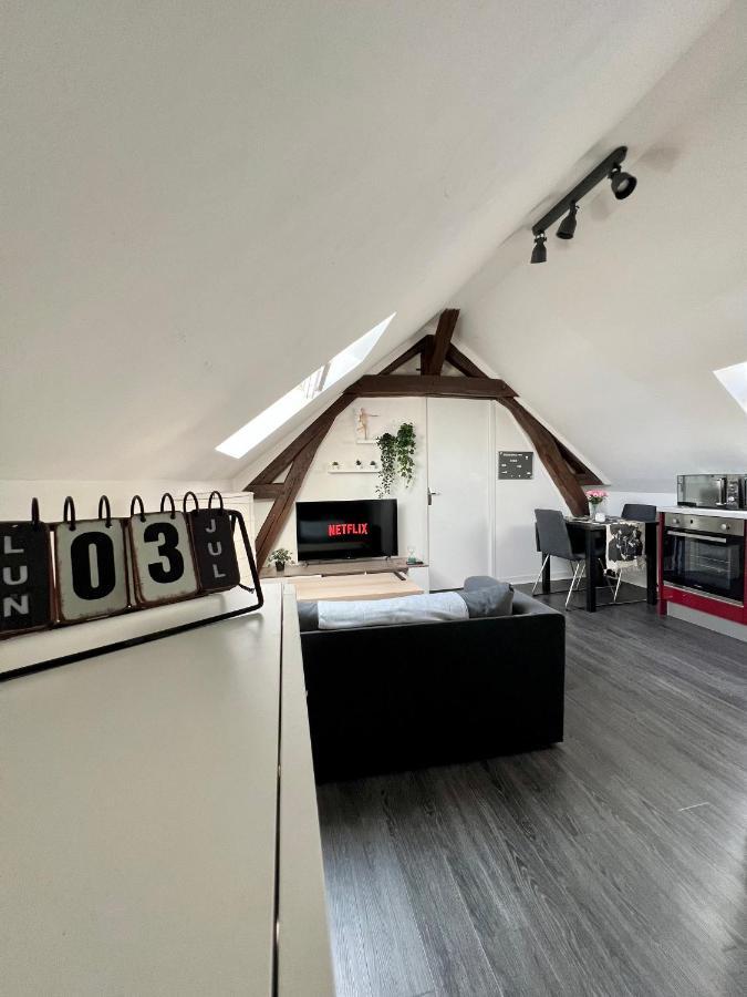 Bel Appartement Lumineux 35M2, Bord De Loire Сен-Жак-Ле-Блан Экстерьер фото